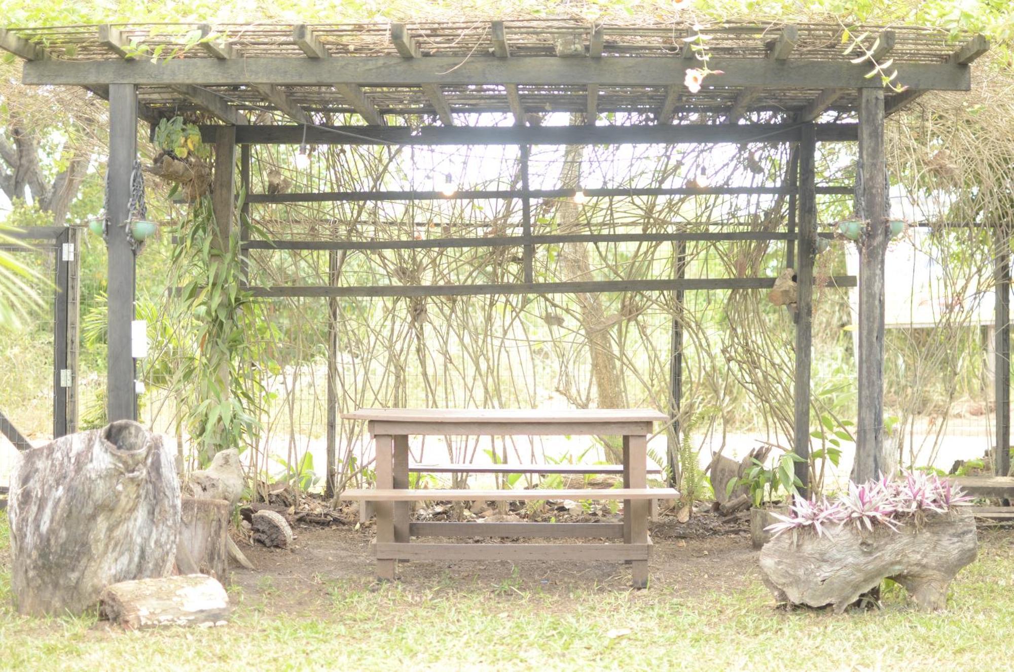 Espaco Saire - Alter do Chão Exteriér fotografie